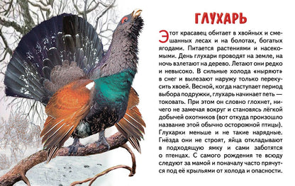 Cartes. Зимующие птицы России ; Cartes. Зимующие птицы России