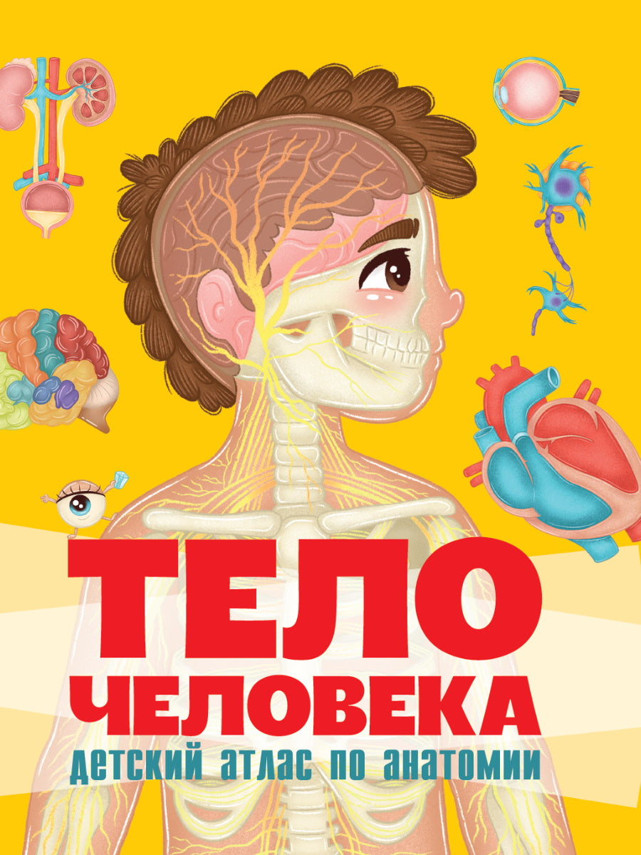 МАКСИ 235х310 7 разворотов книги на CARTONе. C'est un téléphone. Atlas national d'anatomie