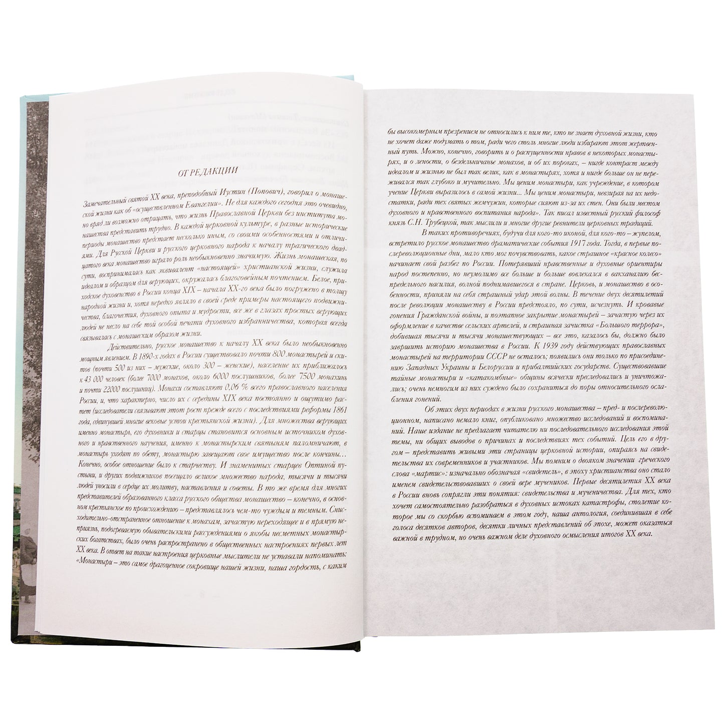 Радость кроткого любящего духа