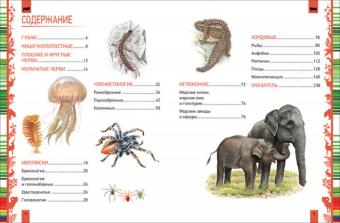 Животные. Большая энциклопедия