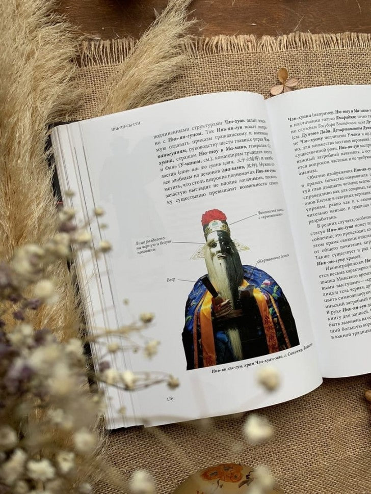 Духи и Божества китайской преисподней А.Г. Сторожук, Т.И. Корнильева, Е.А. Завидовская. - (Святые и демоны верованиях Востока).