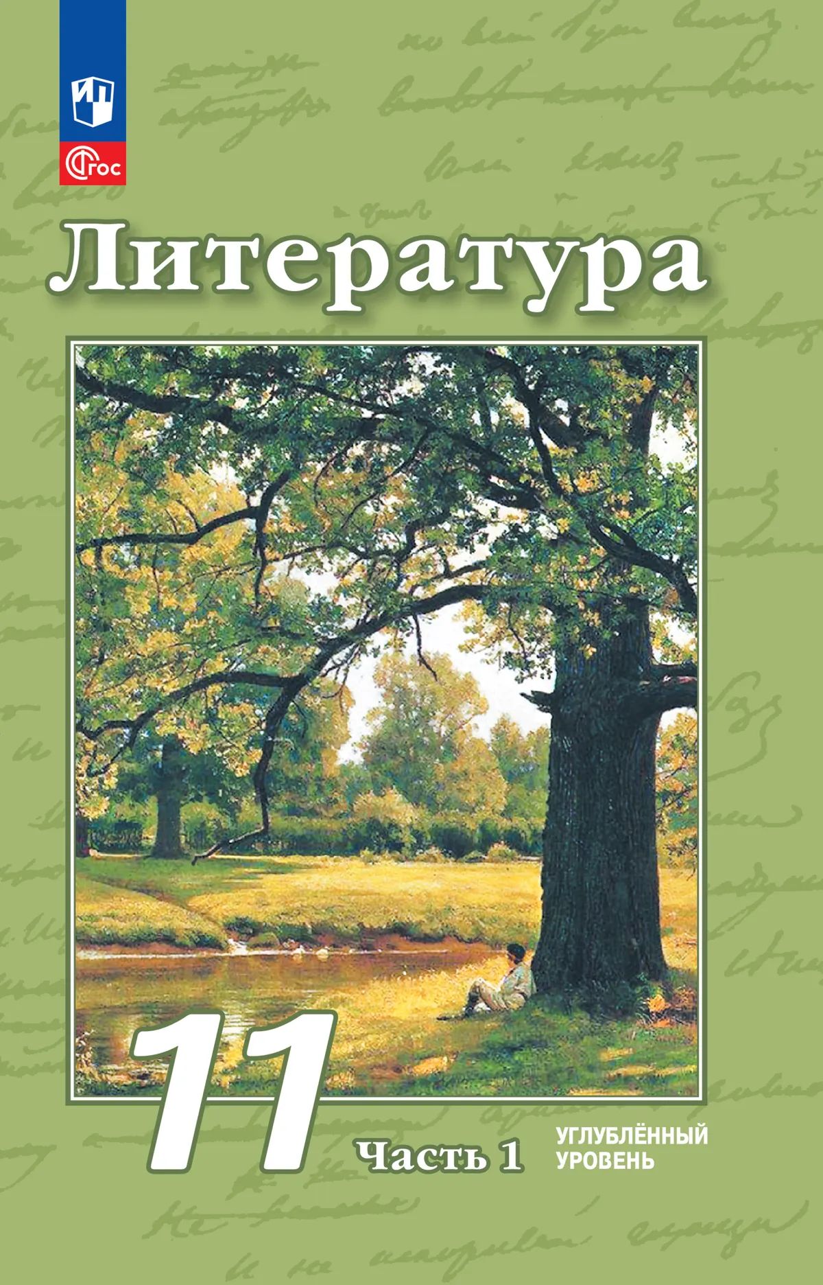 Литература 11кл ч1 Учебное пособ. Углубл. уров.