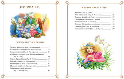 Большая книга Сказок