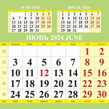 Календарь с котятами на 2024 год. Переплет на скрепке (285*285 мм) 12 листов