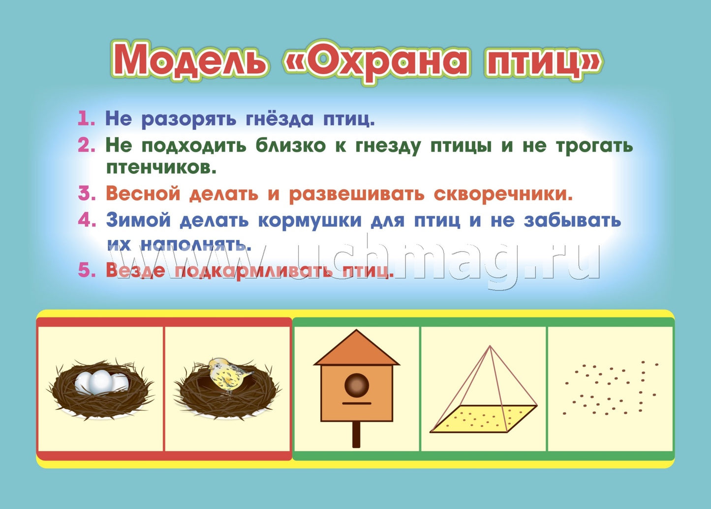 ФГОС ДО Развитие экологической культуры детей 5-8 лет. Комплект Мир животных. Образовательная область "Познавательное развитие". (32 цветные односторонние иллюстрации, 8 черно-белых двухсторонних карт, формат А4)