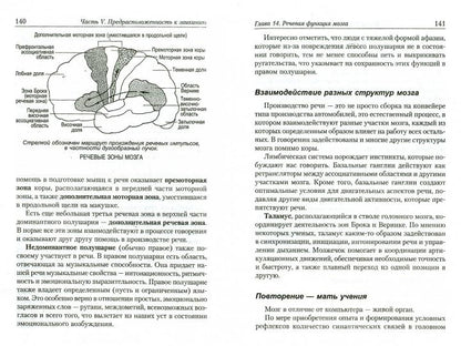 Заикание: как научиться контролировать
