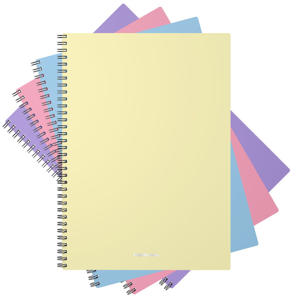 Ensemble d'objets en plastique pour spirales Erich Krause Pastel, assortis, A4, 80 listes, pochettes