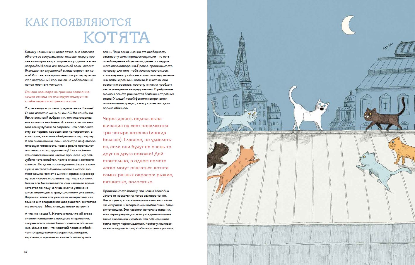 Собаки & кошки:Что знает о них наука (илл.Муррен С.)