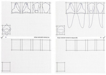 Схематическое изображение контуров зубов. Рабочая тетрадь: Учебно-методическое пособие. Арутюнов С.Д., Даов А.Н.