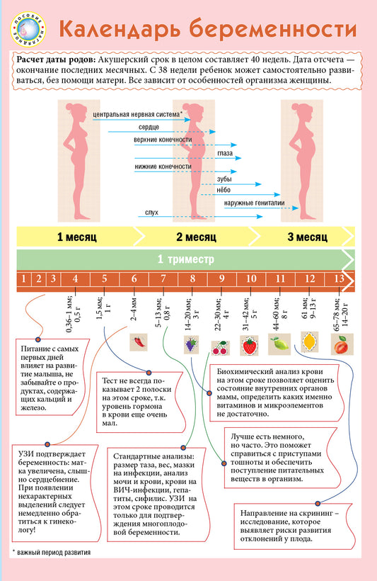 Календарь беременности