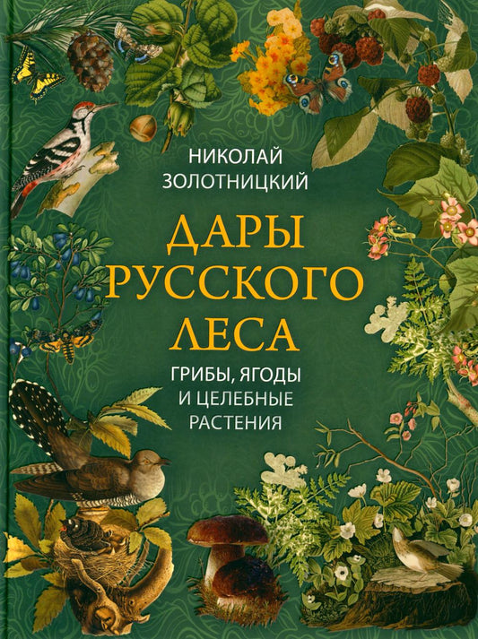 Дары русского леса. Грибы, ягоды и целительные растения