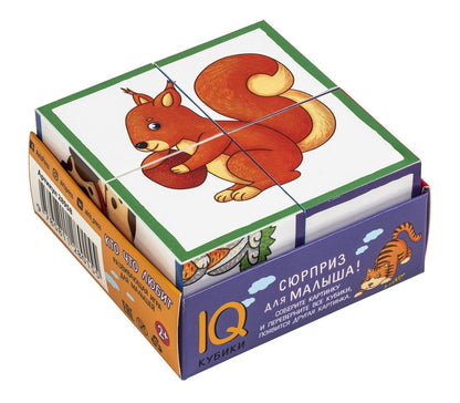 IQ кубики. 4 кубика в поддончике. Кто что любит. 2+