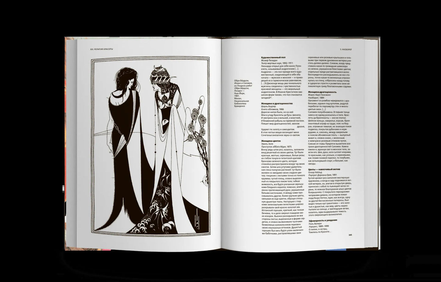 Histoire des crânes