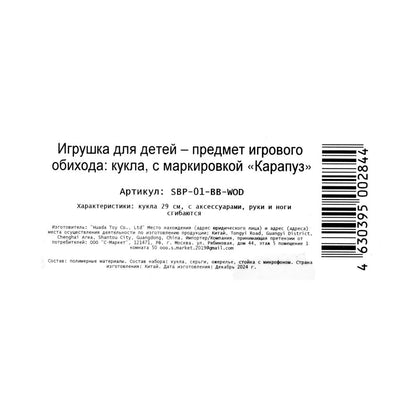 Кукла 29см София, руки и ноги сгиб., акс., кор. КАРАПУЗ в кор.24шт