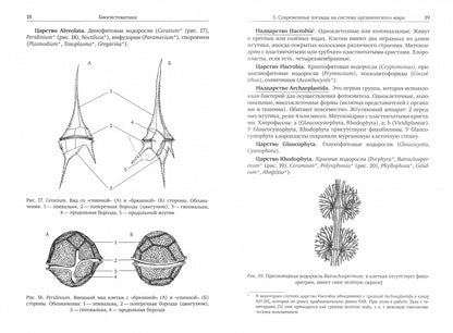 Biologie pratique pour les athlètes olympiques (5-e, stéréotypée)