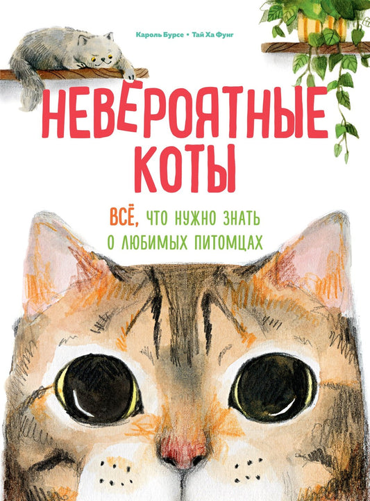 Невероятные коты. C'est vrai, ce qu'il faut faire pour les lubrifiants