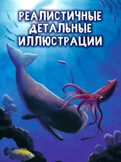Удивительные животные. Маленький кит. Приключения в океане/Шармахер-Шрайбер К.