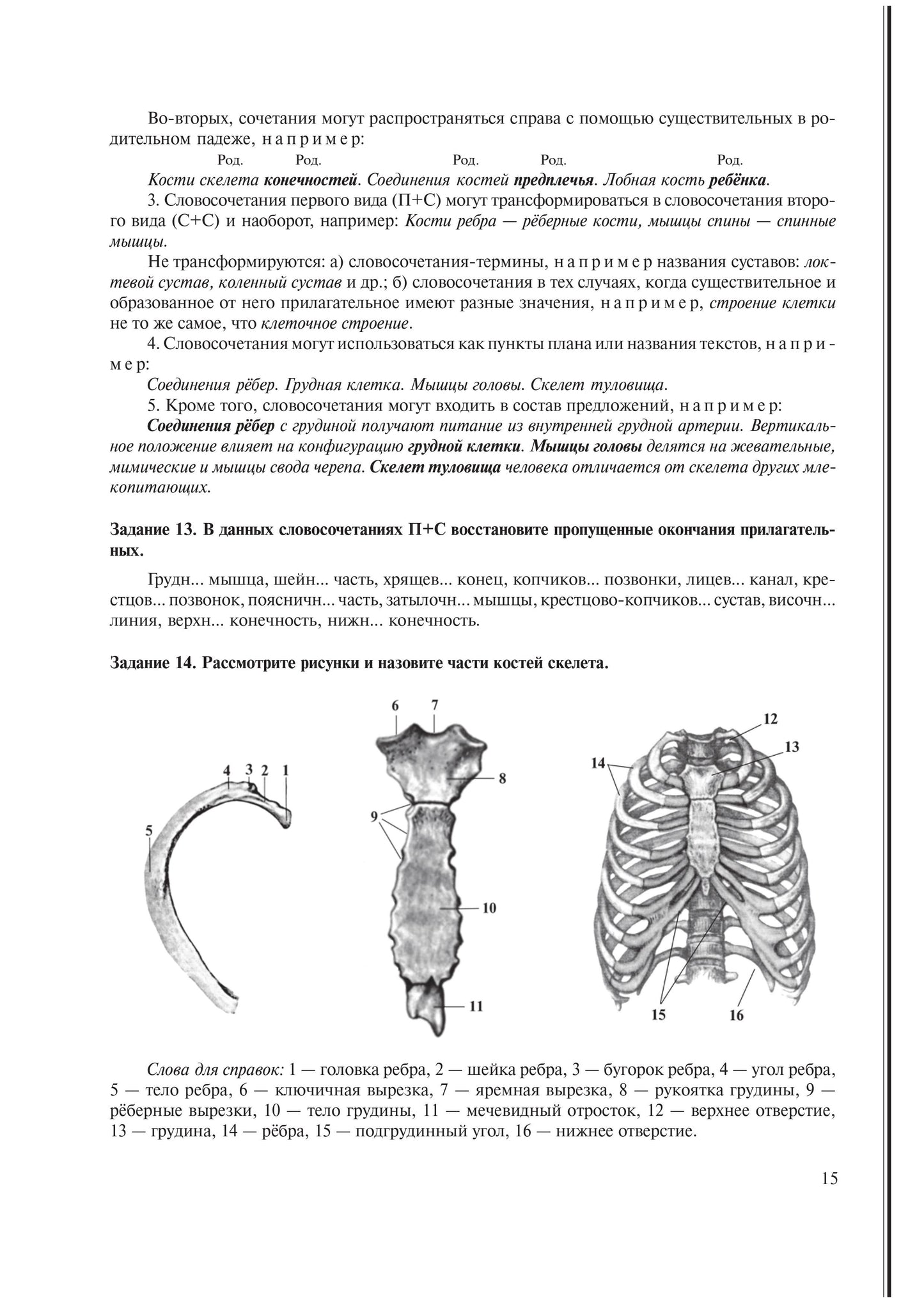 Cours de russe pour les étudiants universitaires et les médecins