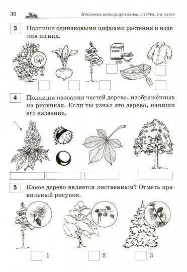 Il s'agit de tests intégrés. Русский язык, литературное чтение, математика, окружающий мир. 1 classe.