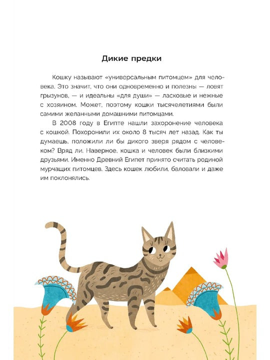 Хочу котенка! Je pense que c'est possible pour vous de prendre des photos