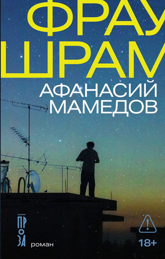 Фрау Шрам: роман