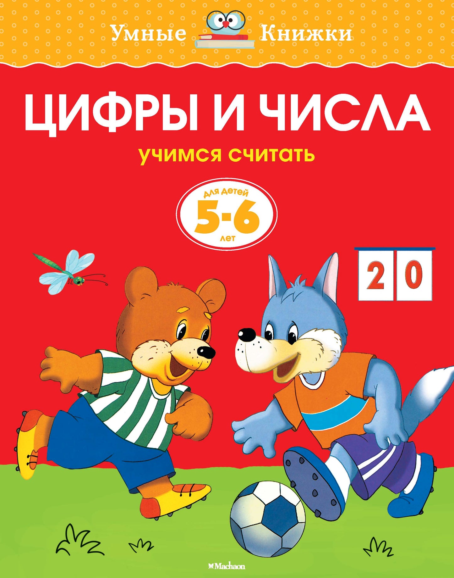 Цифры и числа (5-6 лет) (нов.обл.)