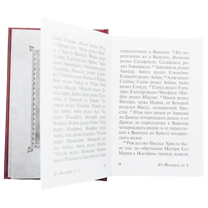 Святое Евангелие Господа нашего Иисуса Христа. 3-е изд