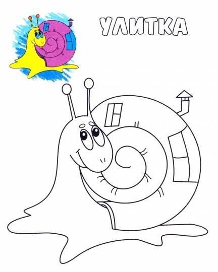Щенок