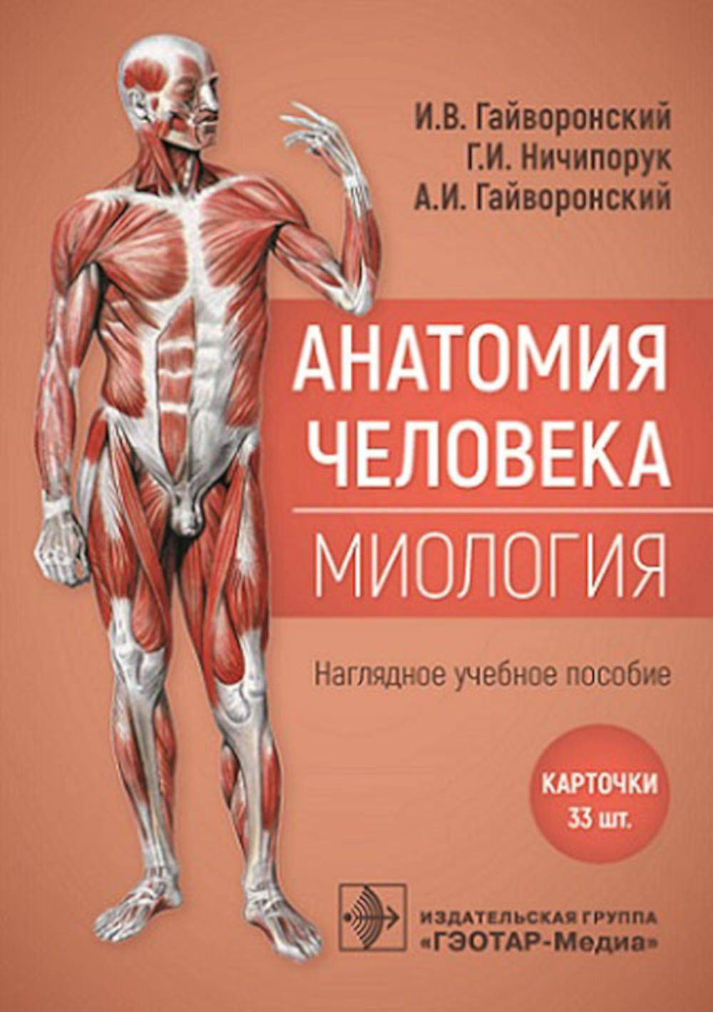 Анатомия человека. Миоlogie. Cartes : наглядное учеб ное пособие / И. В. Гайворонский, Г. И. Ничипорук, А. И. Гайворонский. — Москва : ГЭОТАР-Медиа, 2023. — 33 двустор. carte. : IL.