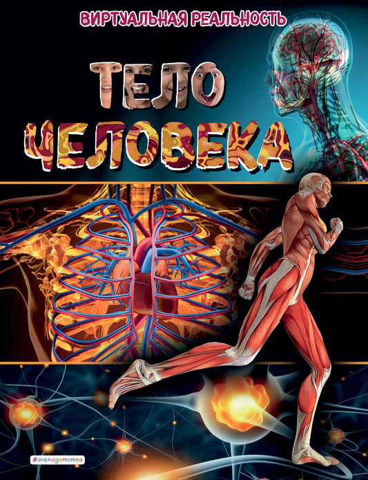 Тело человека. Виртуальная реальность_С