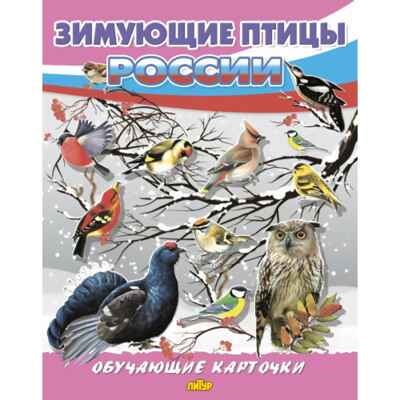 Зимующие птицы России