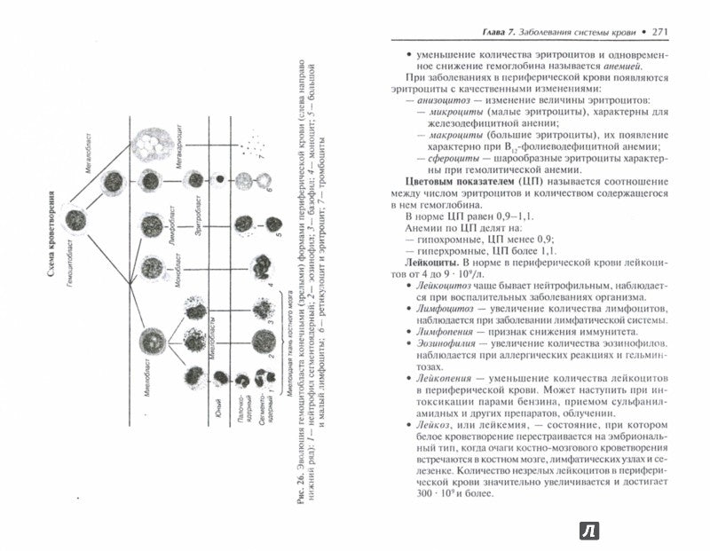Thérapie : учеб.пособие .