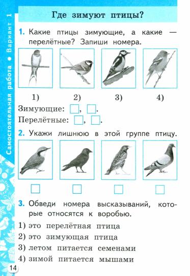 Цитович. Окружающий мир 1кл. Самостоятельные и контрольные работы. Ч.2 Плешаков. ФГОС НОВЫЙ (к новому учебнику)