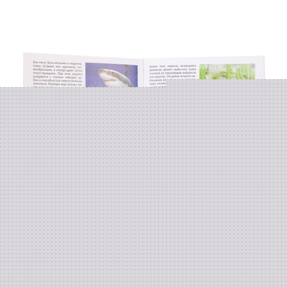 Мемо "Подводный мир" арт.8032 (50 карточек) /48