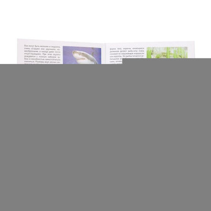 Мемо "Подводный мир" арт.8032 (50 карточек) /48