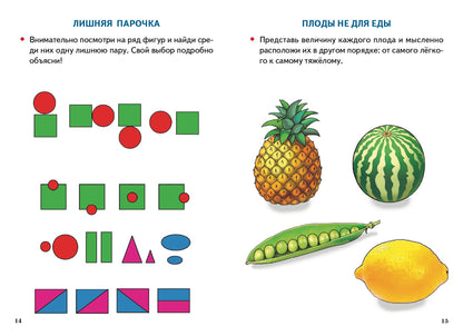 Развиваем логику и речь (pour les enfants de 5 à 7 ans) ; Развиваем логику и речь (pour les enfants de 5 à 7 ans)