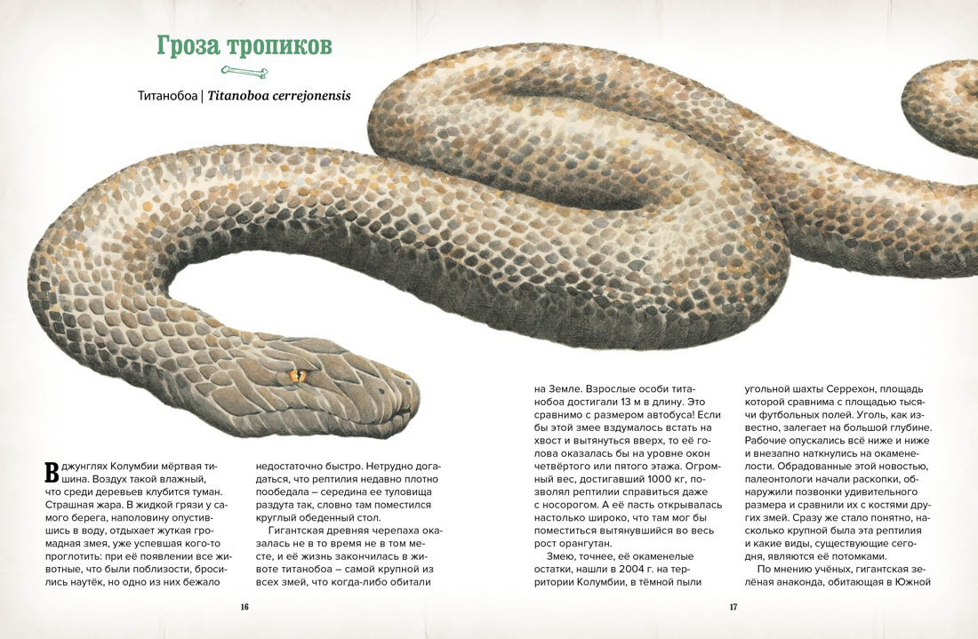 Музей доисторических животных. Dinosaures, monstres, dinosaures et exposants de drogues