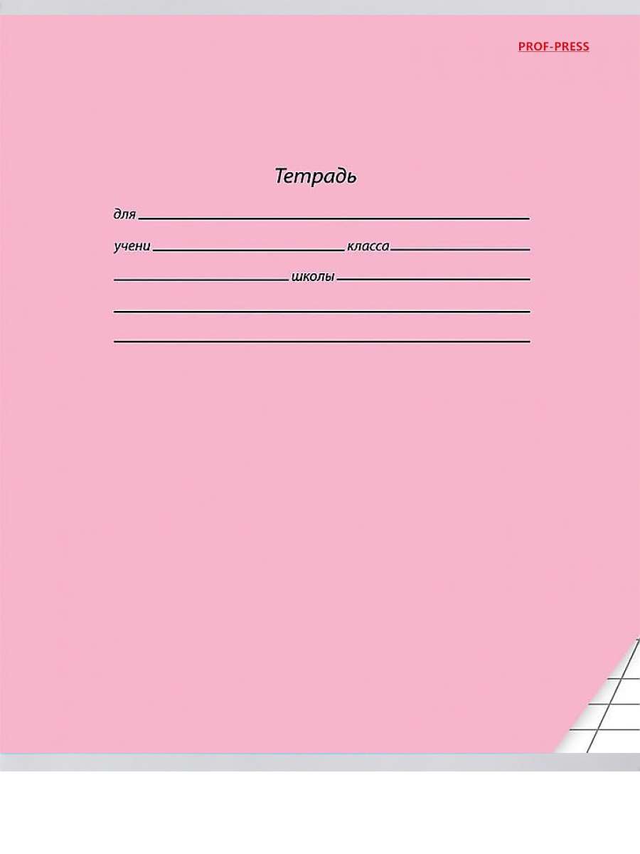 Тетрадь 12л. дополнительная косая линия ШКОЛЬНАЯ КЛАССИКА, цвет.мелов.обл., 5 диз. dans le korobke