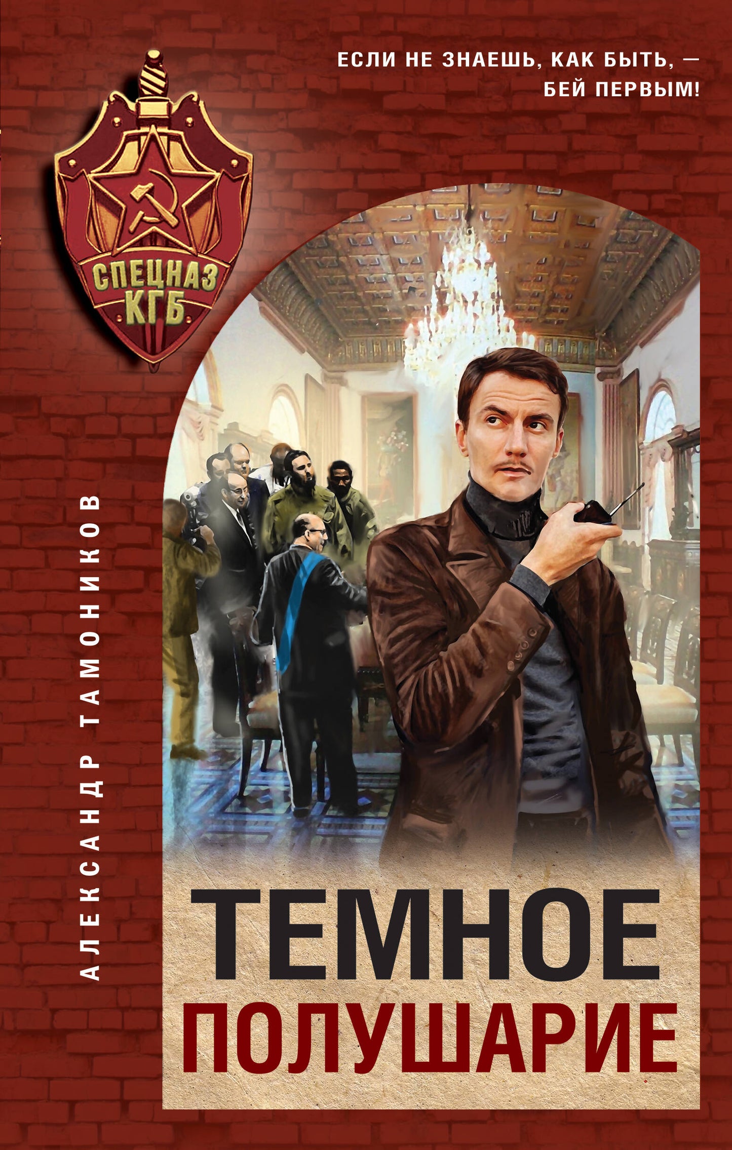 Темное полушарие