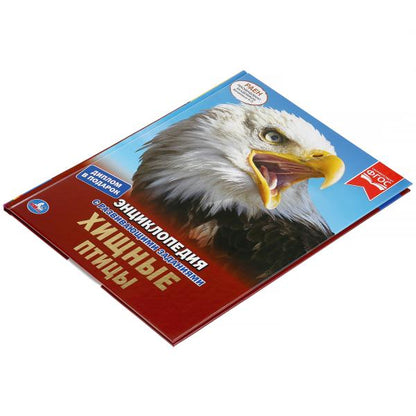 Хищные птицы. (Энциклопедия А4 с развивающими заданиями). 197х255мм. 48 стр. Умка в кор.15шт