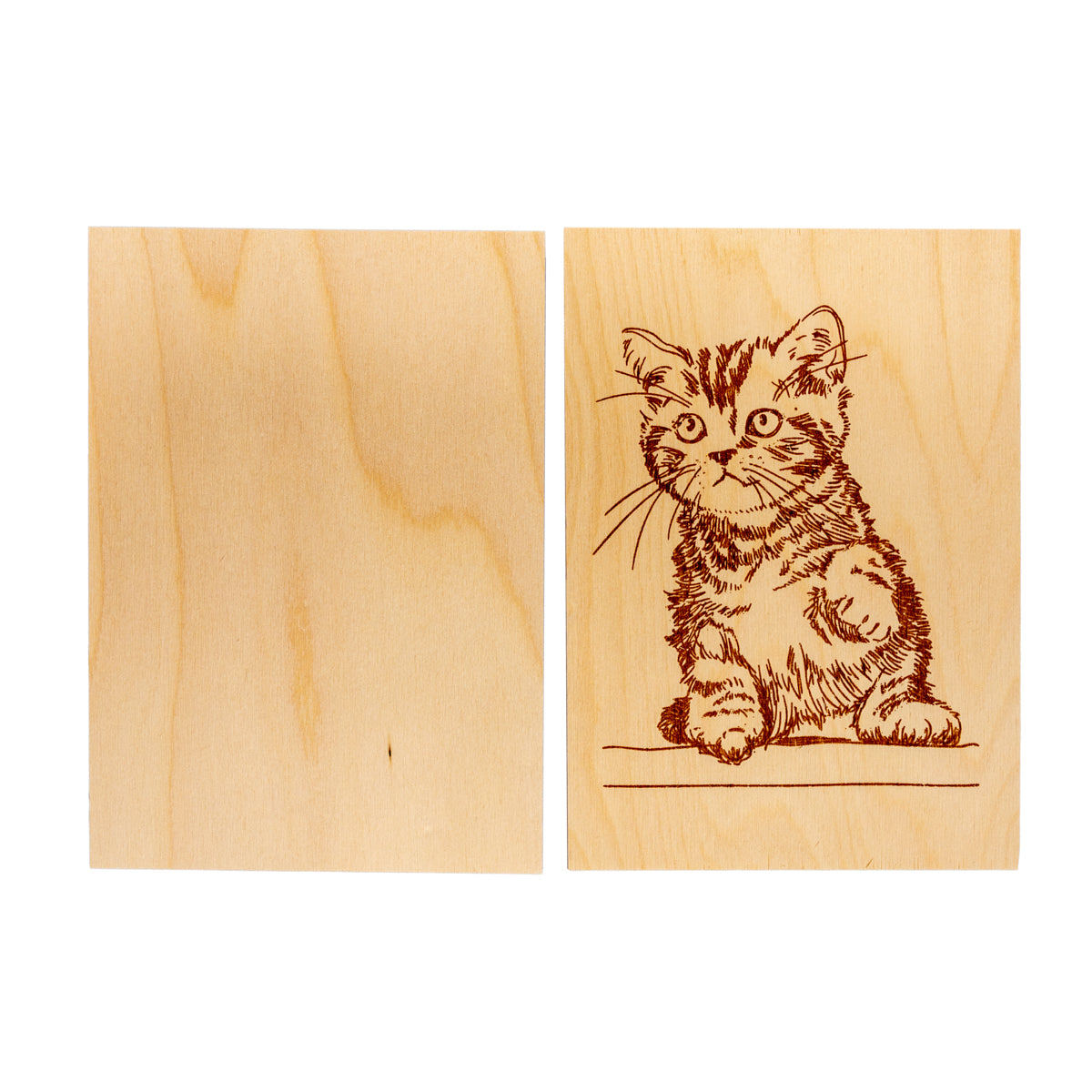 Выжигание по дереву. Доски для выжигания 2 шт "Котик" (blister)