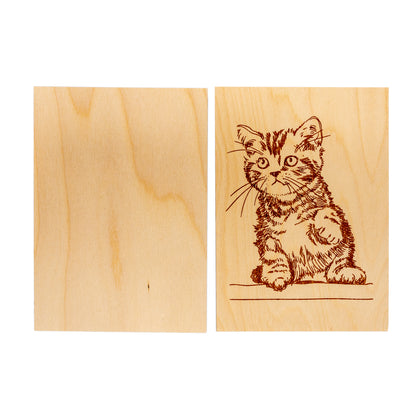 Выжигание по дереву. Доски для выжигания 2 шт "Котик" (blister)