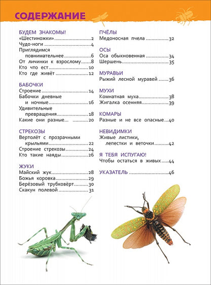 Насекомые (Энциклопедия для детского сада)