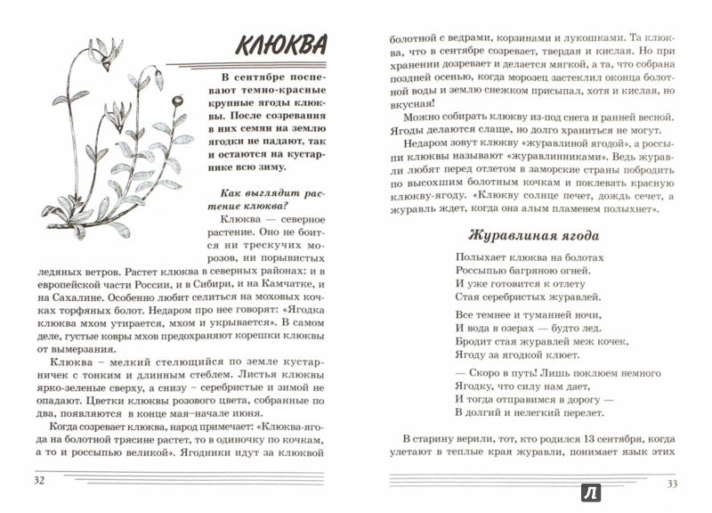 Ягоды. Какие они? [Методика]