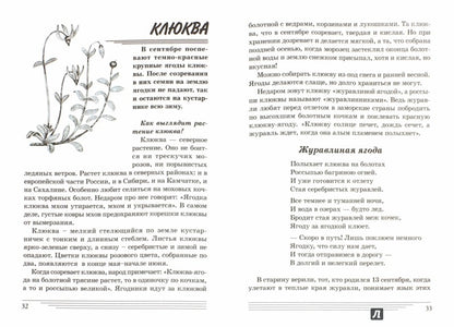 Ягоды. Какие они? [Методика]