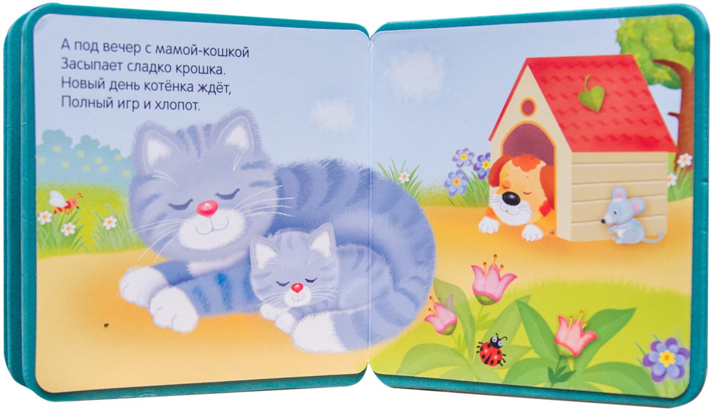 Моя первая книжка. Котенок