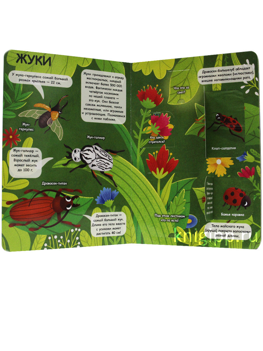КНИЖКА С ОКОШКАМИ 235х315. НАСЕКОМЫЕ