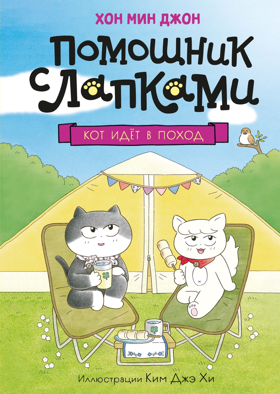 Кот идёт в поход