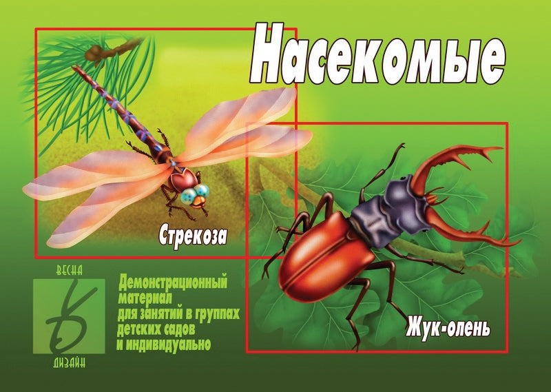 Игра Насекомые (Весна-дизайн)