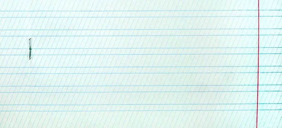 Тетрадь 12л,част.кос.лин,ДЛЯ ПРОПИСЕЙ.Зелен,17730